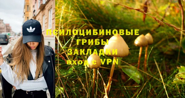 ECSTASY Богданович