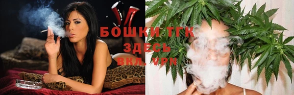 PSILOCYBIN Богородицк
